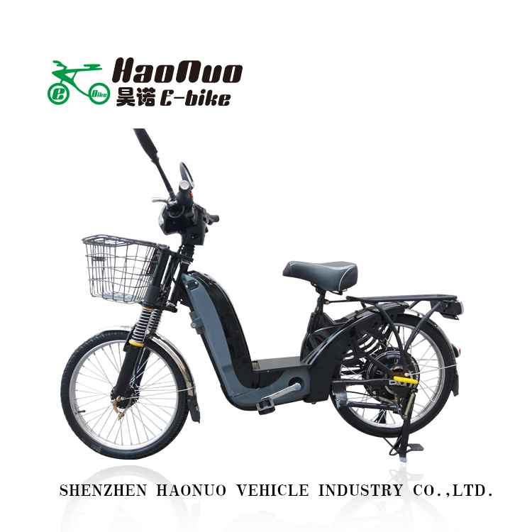 350W Strong Electric Bike