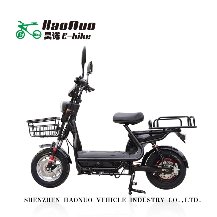 2022 New Model Hot Sell 10 Inch 48V 350watt Electric Bike