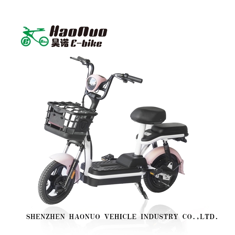 2023 14 Inch 48V 350watt Cheap Price Electric Bike