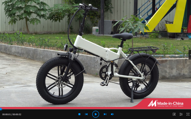 2023 New Model 20 Inch Fat Tyr