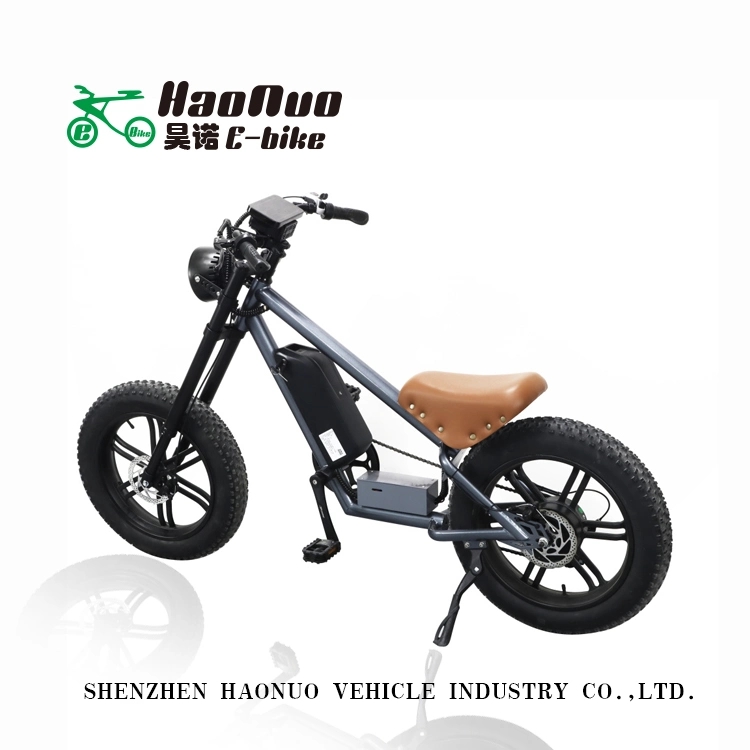 2023 New Model 20*4.0 Inch Tyre 48V 500watt