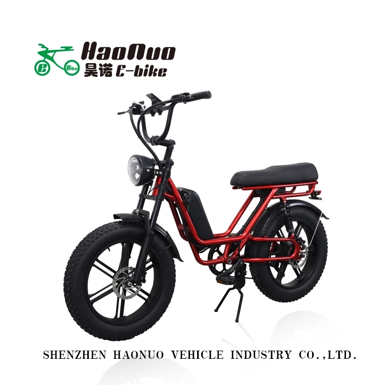 2023 New Model Fat Tyre 48V 500watt Heavy Duty Carto Ebikes