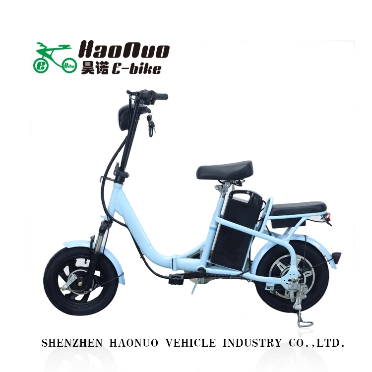 14 Inch 48V 350watt Electric Bike with Remove portable Lion 