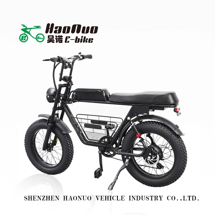 20*4.0 Inch Fat Tyre 48V 500watt Favorite Electric Bike