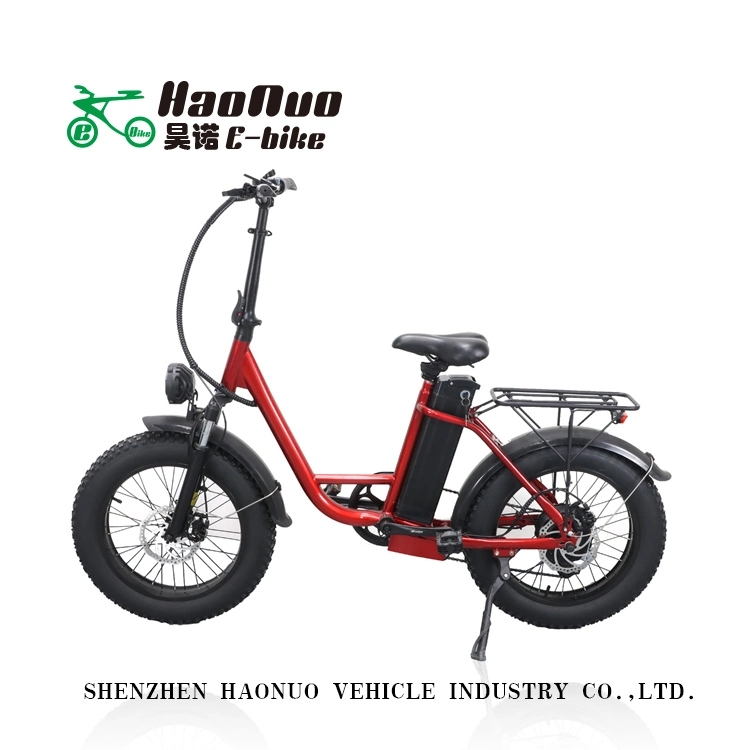 2023 New Model Fat Tyre Fold 48V 500watt Electric Bike