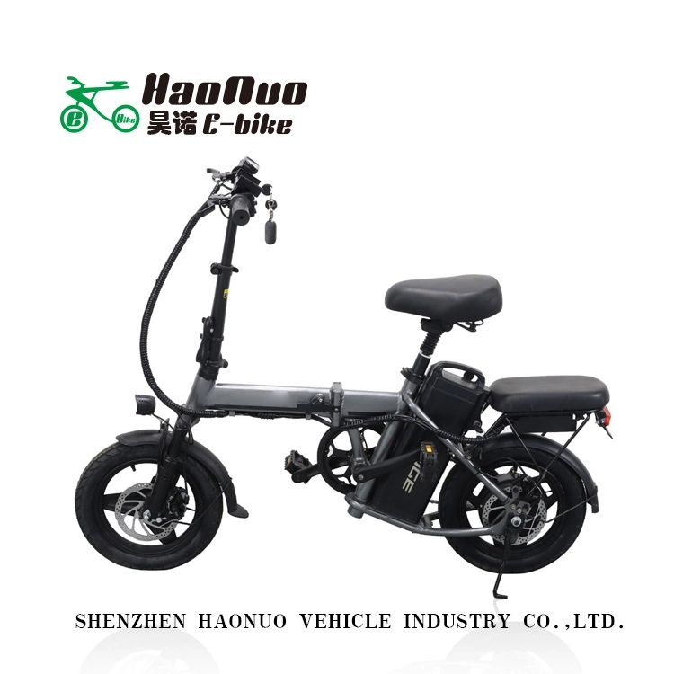2023 New Model 14 Inch 48V 350watt Fold Electric Bike