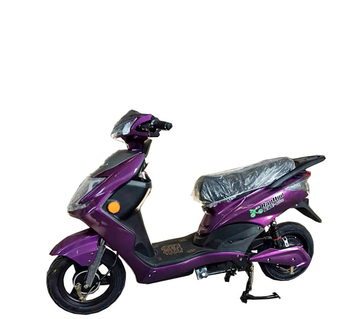 Ebike eléctrico 450W