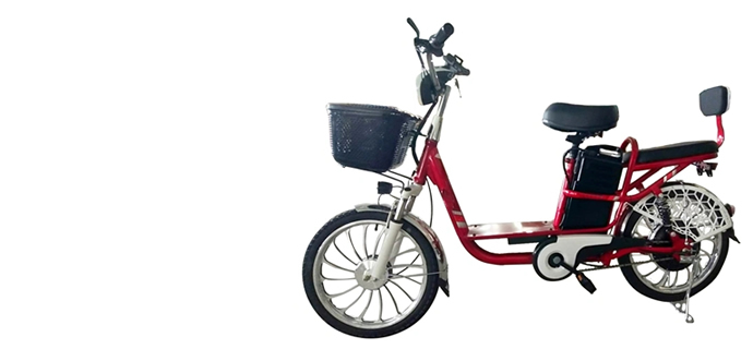 20 Inch Wheel 48V